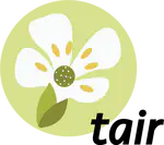 Enhanced Araport11 annotation