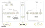 Developmental Dynamic Transcriptome and Systematic Analysis Reveal the Major Genes Underlying Isoflavone Accumulation in Soybean